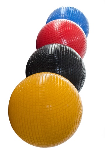 Gateball Level 1 Coaching