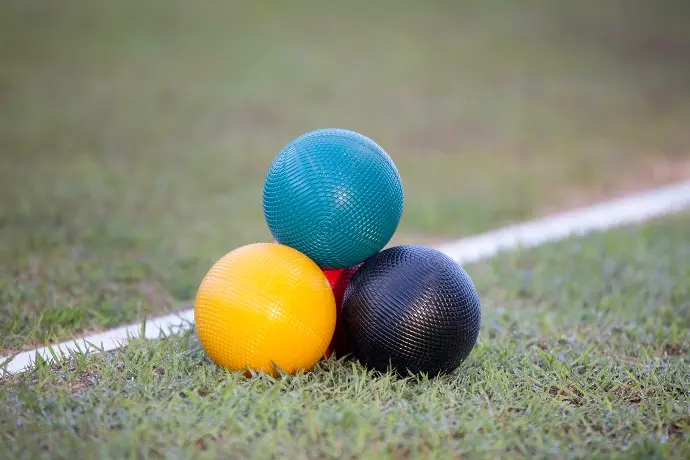 Croquet Australia Presenter & Assessor