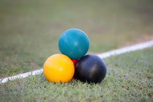 Croquet Australia Presenter & Assessor